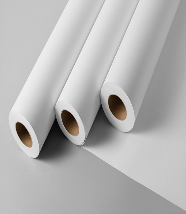 Duplex Board Manufacturer in India