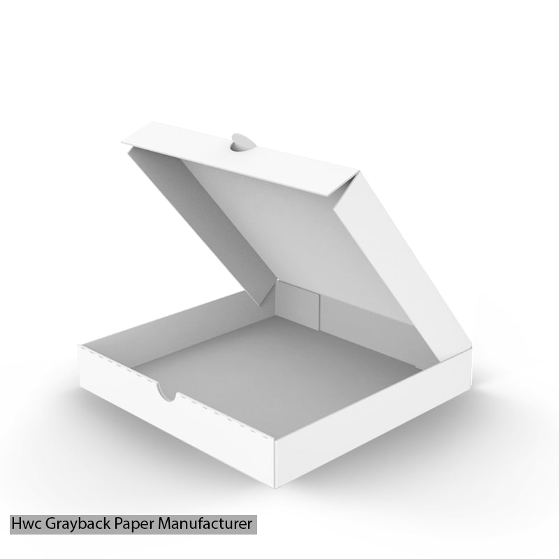 HWC Greyback Paper Manufacturer in India
